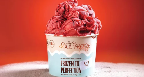 Soul Freeze Franchise Cost, Fees, Opportunity