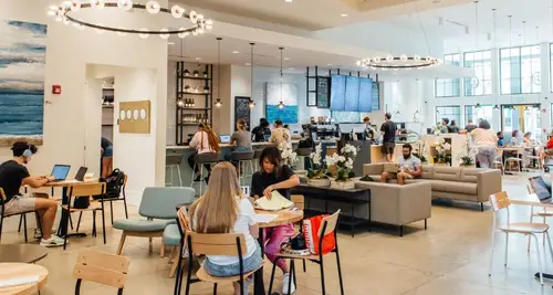 Southern Grounds Franchise Opportunities