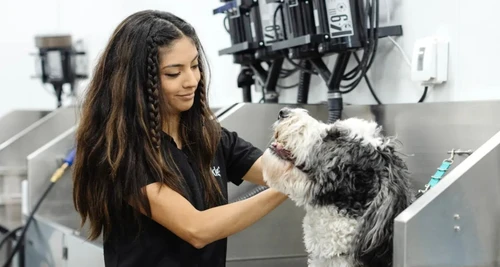 Sparkle Grooming Co. Franchise Cost, Fees, Opportunity