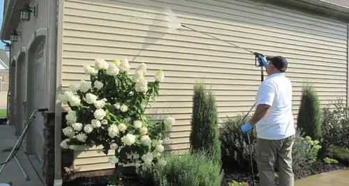 Sparkle Wash International Franchise For Sale image 3