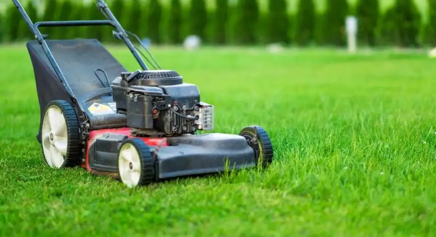 Spring-Green Lawn Care Franchise USA Opportunity