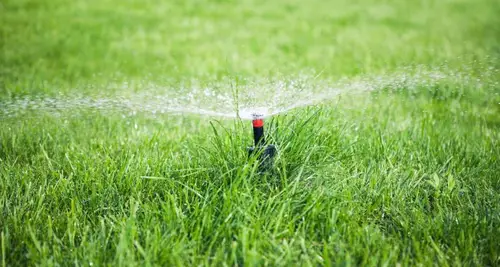 Sprinkler Master Franchise Opportunities image 2