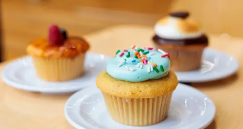 Sprinkles Cupcakes Franchise Opportunities