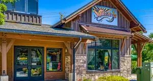 Squeeze In Franchise Cost, Fees, ROI & Opportunity