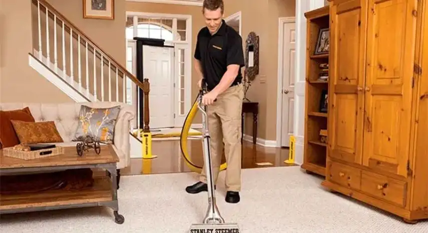 Stanley Steemer USA Franchise Opportunity