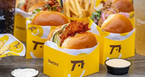 Starbird Franchise Cost, Fees & Opportunities