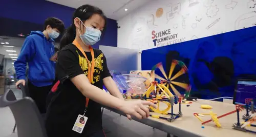 Steamoji Franchise Investment, Cost & ROI Opportunity