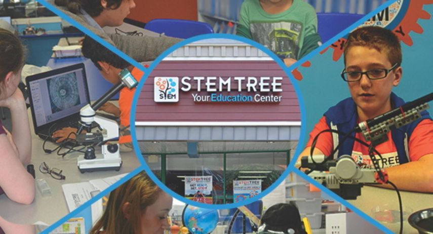 Stemtree Franchise for Sale | STEM education