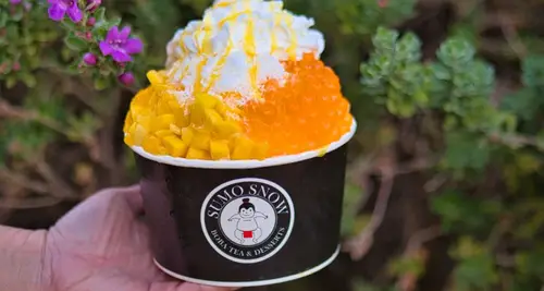 Sumo Snow Franchise Cost & Fees Opportunities