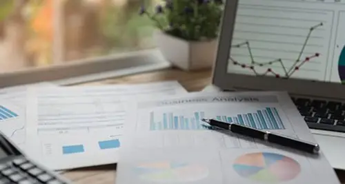 Supporting Strategies Cost, Fees & Opportunity