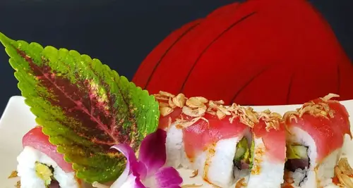 Sushi Song Franchise Investment, Cost & Opportunity image 4