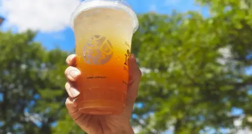 Sweetwaters Coffee & Tea Franchise For Sale image 4