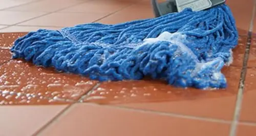 Swisher Hygiene Franchise Investment, Cost & Opportunity image 2