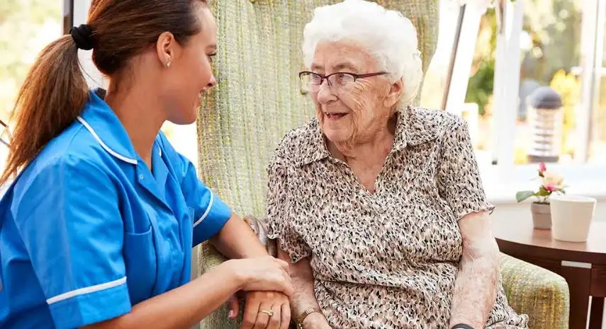 Synergy HomeCare USA Franchise For Sale