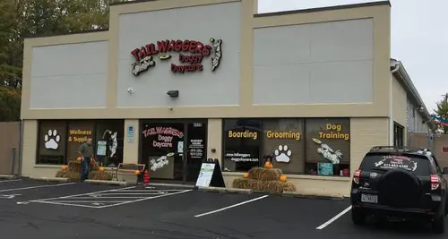 TailWaggers Doggy Daycare