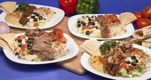 Taste of Mediterranean Franchise Cost & Fees Opportunities image 3