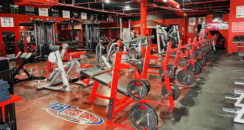 TBT Gym Franchise Cost, Fees, ROI & Opportunity