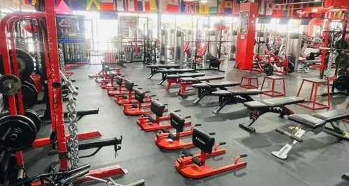 TBT Gym Franchise Cost, Fees, ROI & Opportunity image 3