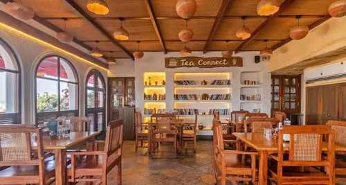 Tea Connect Franchise Cost, Fees, Opportunity