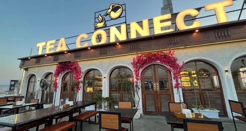 Tea Connect Franchise Cost, Fees, Opportunity