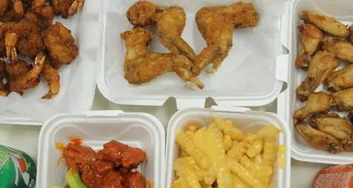 Tez Wingz Franchise Cost, Fees, ROI & Opportunity image 3