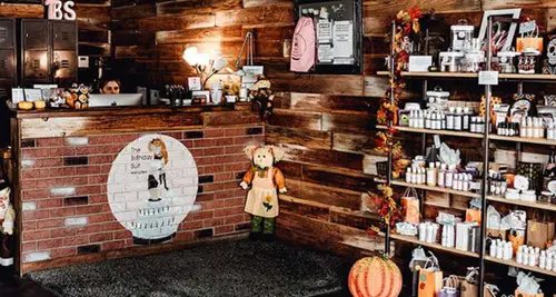 The Birthday Suit Franchise Cost, Fees, Opportunity image 4