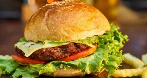 The Burger Nation Franchise Cost, Fees, Opportunity