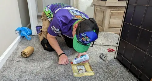 The Carpet Chemist Franchise Opportunity