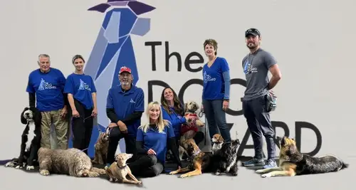 The Dog Wizard Franchise Cost & Fees Opportunity