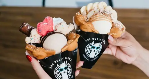 The Dolly Llama Franchise Cost, Fees, ROI & Opportunity