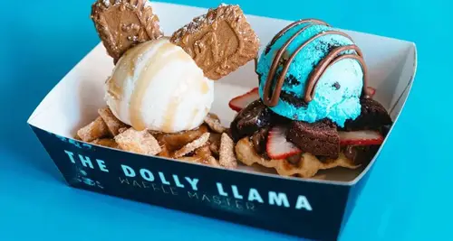 The Dolly Llama Franchise Cost, Fees, ROI & Opportunity image 2