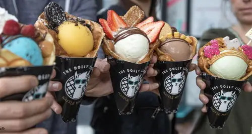 The Dolly Llama Franchise Cost, Fees, ROI & Opportunity image 4