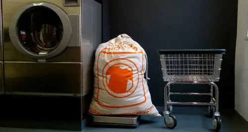 The Eco Laundry Company Franchise For Sale