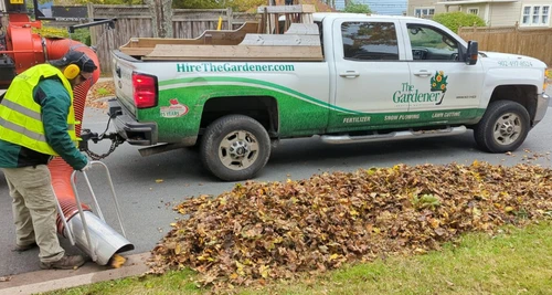 The Gardener Franchise Cost, Fees, Opportunities