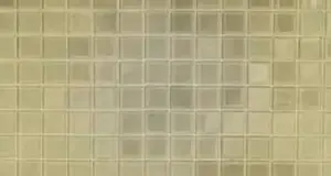 The Grout Doctor Franchise Cost, Fees & Opportunity