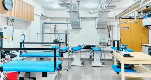 The Laundry House Franchise Cost, Fees, Opportunity