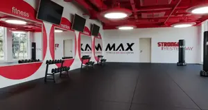 The MAX Challenge