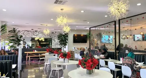 The Modern Vegan Franchise Cost, Fees, Opportunity image 3