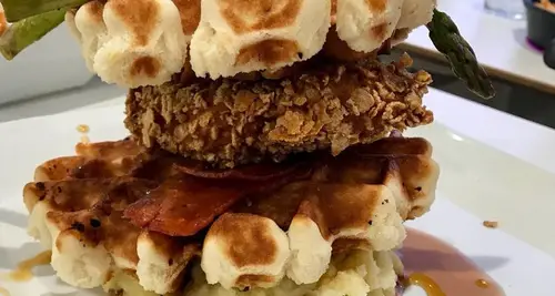 The Modern Vegan Franchise Cost, Fees, Opportunity