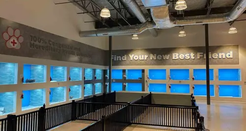 The Puppy Palace Franchise Cost, Fees & Opportunities image 4