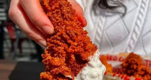 The Red Chickz Franchise Cost & Fees Opportunities