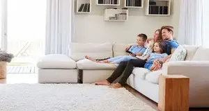 The Rug Beater Franchise Cost, Fees & Opportunities