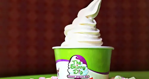 The Skinny Dip Frozen Yogurt Bar Franchise For Sale image 2