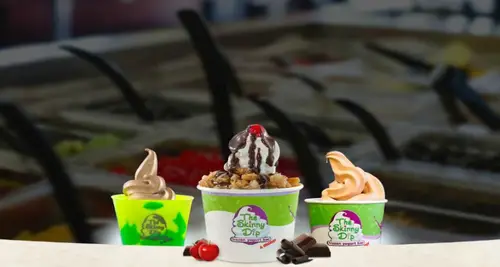 The Skinny Dip Frozen Yogurt Bar Franchise For Sale image 3