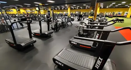 The Zoo Health Club Franchise Cost, Fees & Opportunity