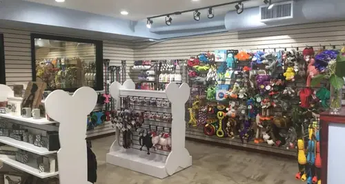 Three Dog Bakery Franchise Cost, Fees & Opportunities