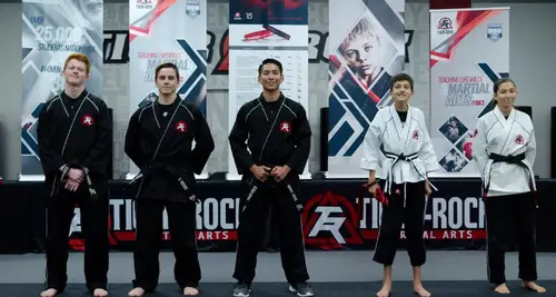 Tiger-Rock Martial Arts Franchise For Sale