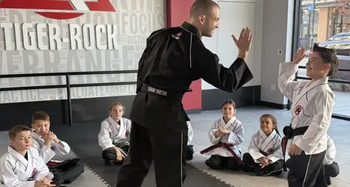 Tiger-Rock Martial Arts Franchise For Sale image 3