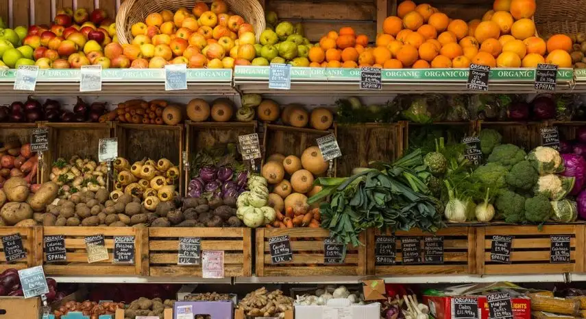 Time for Organics India