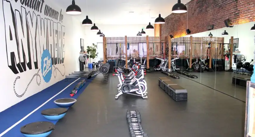 Training Mate Franchise For Sale